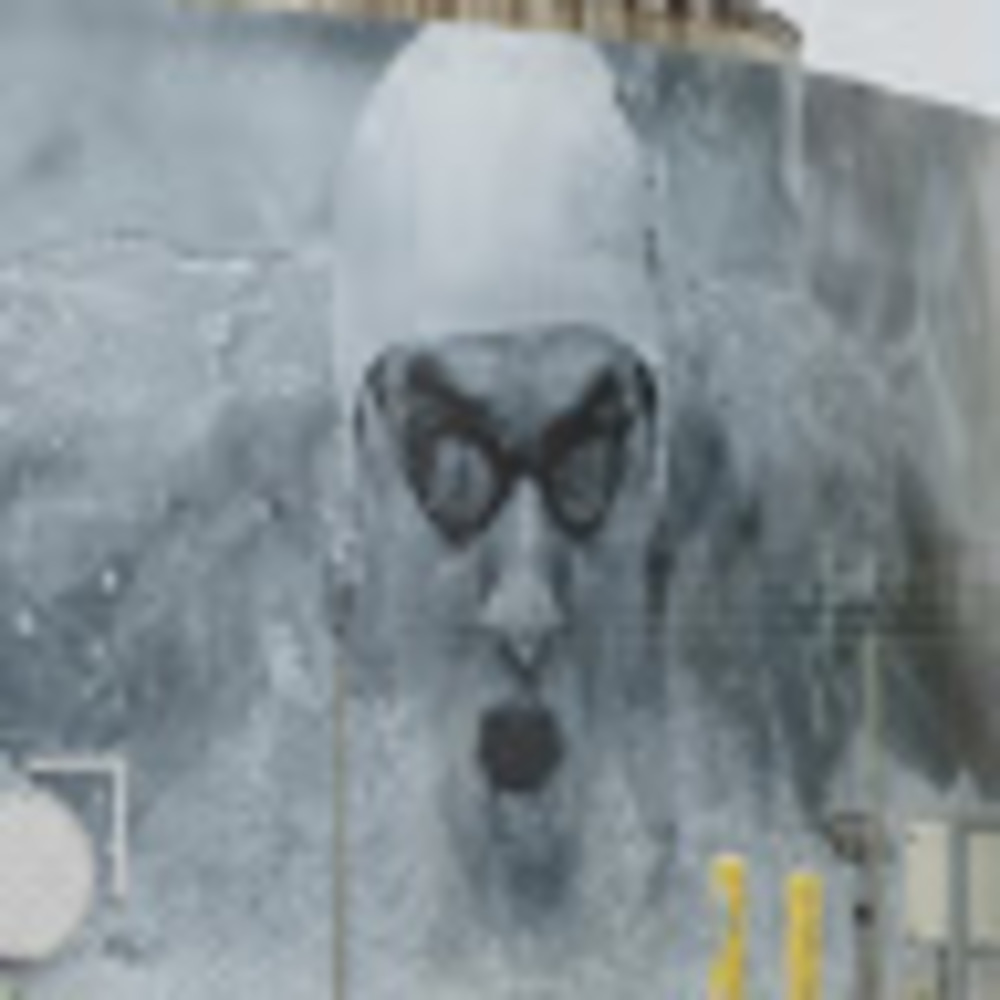 Meet your Posher, Marianne